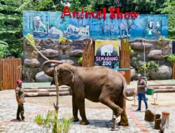 Semarang Zoo Gratiskan Tiket Pelajar Selama Liburan, Dorong Edukasi Konservasi Satwa
