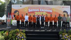 sensus ekonomi