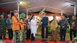 wayang suro
