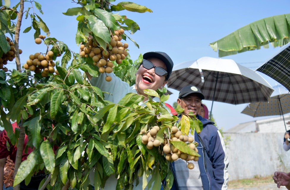 agrowisata
