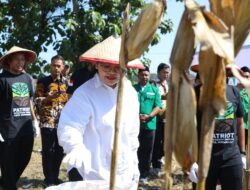 Wali Kota Agustina Apresiasi GP Ansor, Panen Raya Jagung Jadi Bukti Pemuda Mampu Perkuat Ketahanan Pangan