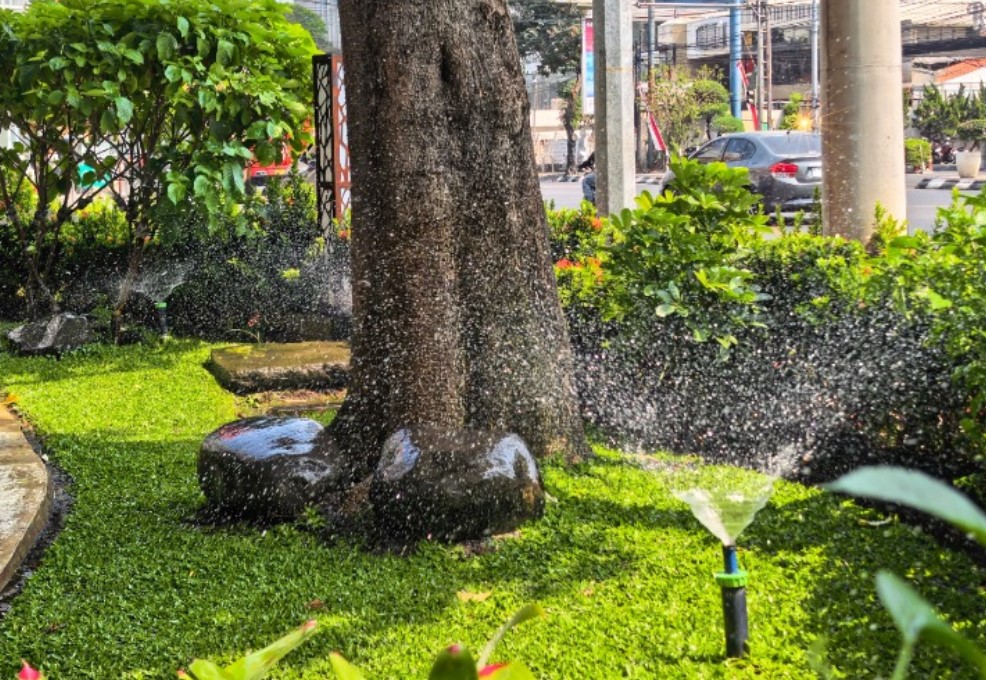 taman